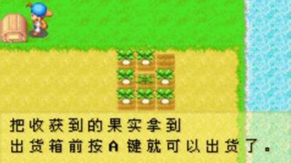 牧场物语矿石镇的伙伴们汉化版截图4