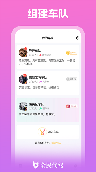 全民代驾大展鸿兔官方版截图3
