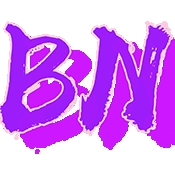 BN直装v7.8官方正版