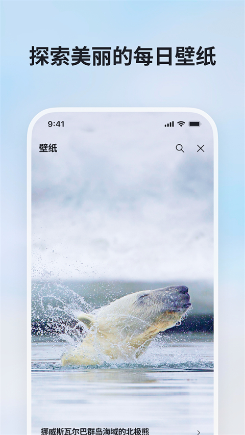 微软bing搜索引擎国内版截图5