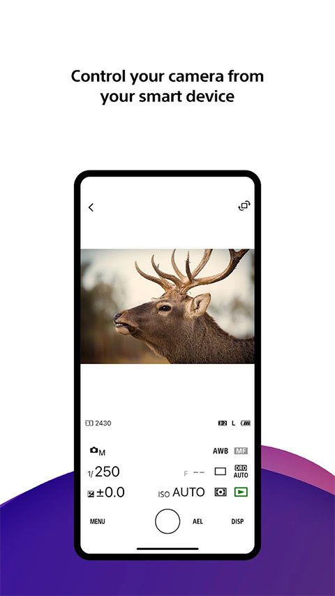 Creators App官方版截图5