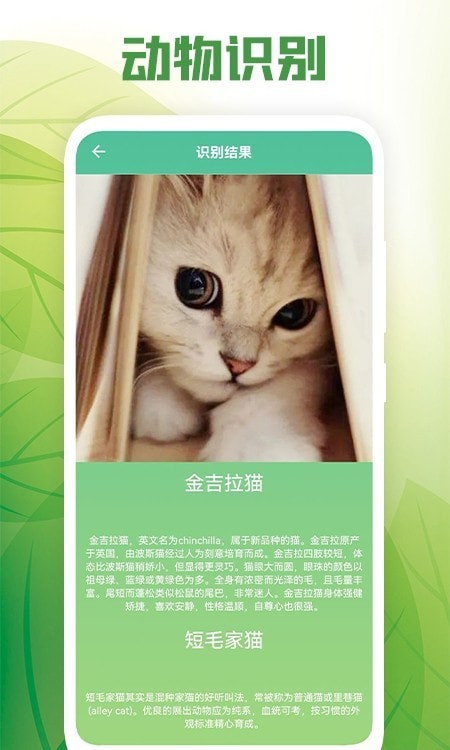 花卉百科app截图1