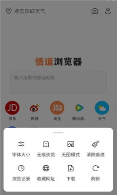 悟道浏览器手机版截图2