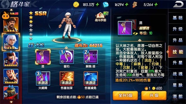 拳魂觉醒小y版