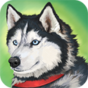 美国zoom动物（Dog Simulator - Animal Life）
