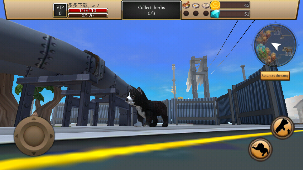 美国zoom动物（Dog Simulator - Animal Life）截图4