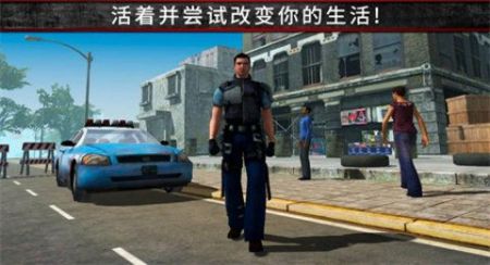 荒野流浪记游戏截图2