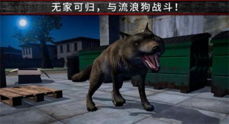 荒野流浪记游戏截图3