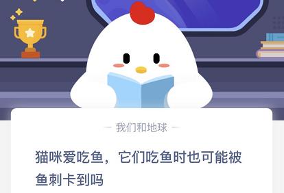 猫咪吃鱼时也可能会被鱼刺卡到吗