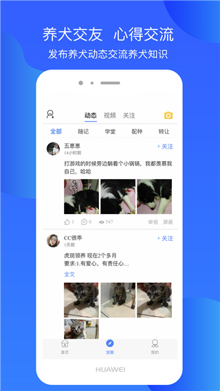 犬卫士截图2