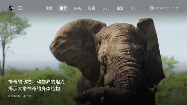 大西瓜TV截图4