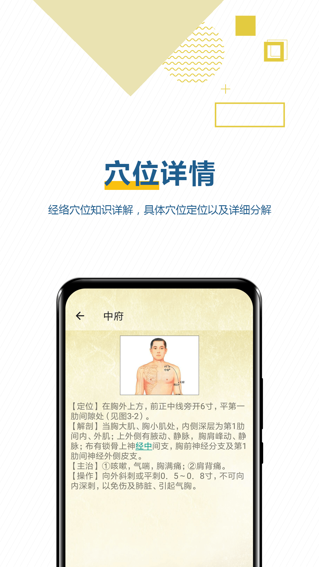 穴位按摩宝典APP截图3