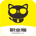 职业猫