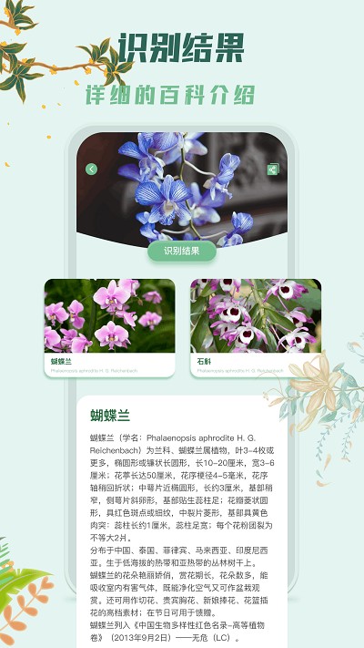 识花君植物识别截图4