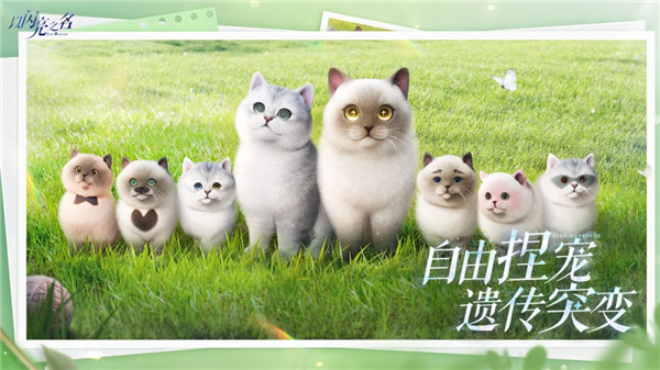 以闪亮之名官方正版截图5
