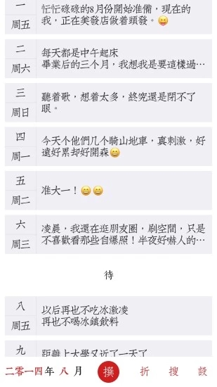 素记日记截图4
