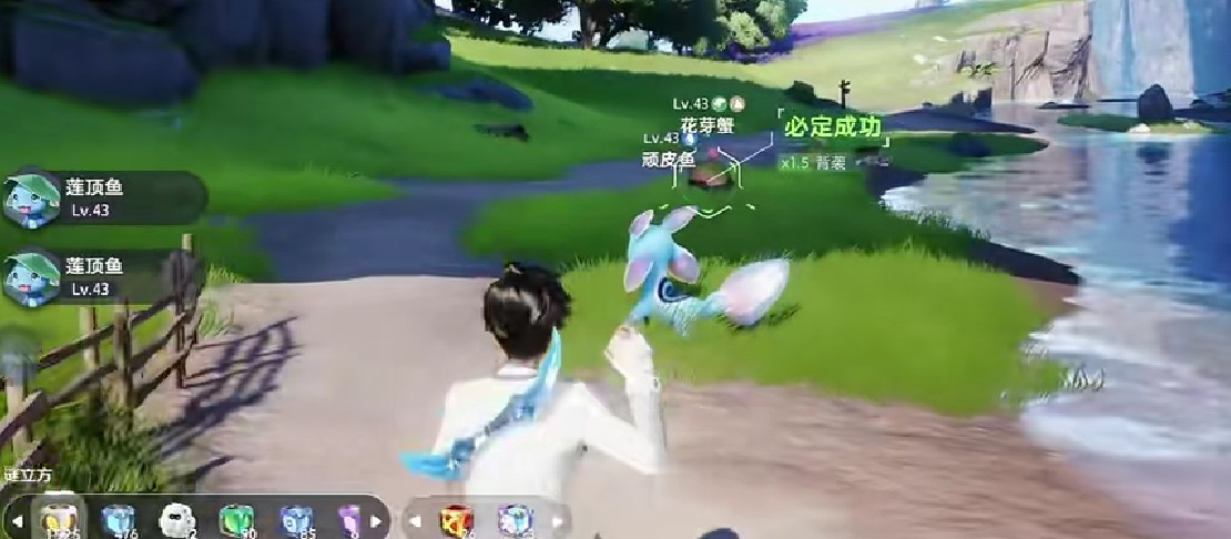 伊莫巫帽草捕捉攻略