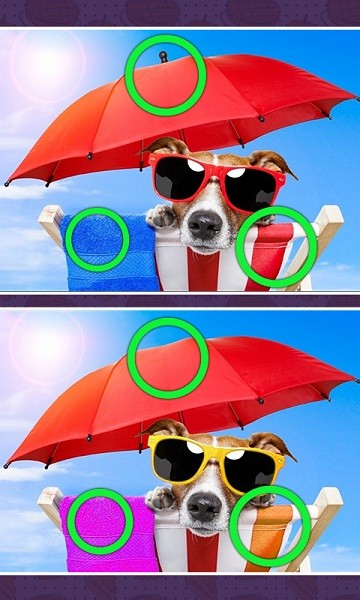 经典找不同截图1