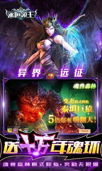 永恒领主游戏截图1