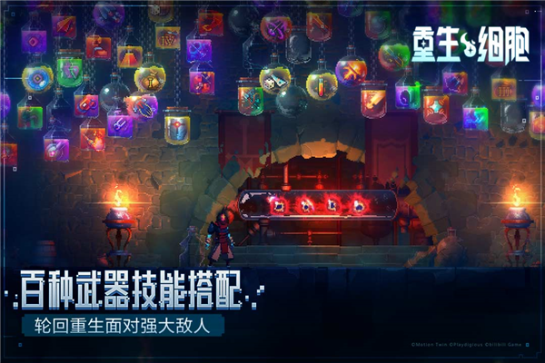 重生细胞vivo版截图5
