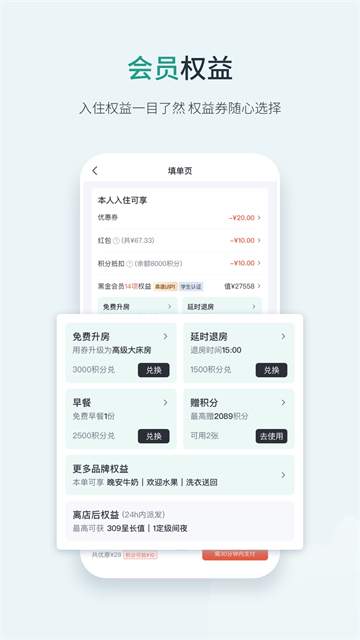 东呈青猫会截图3