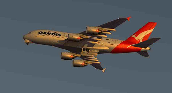 Infinite Flight飞行模拟器截图1