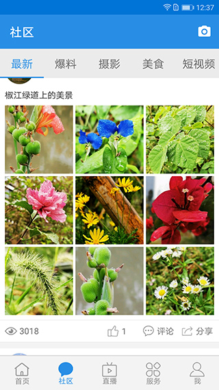 无限台州