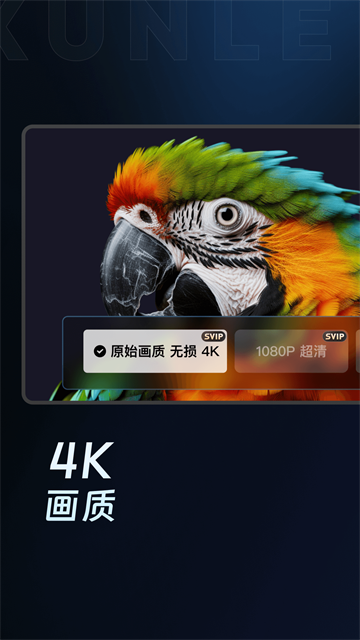 迅雷TV版截图4