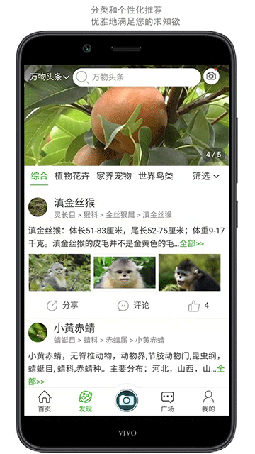 万物志截图2