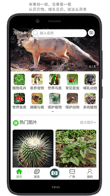 万物志截图1