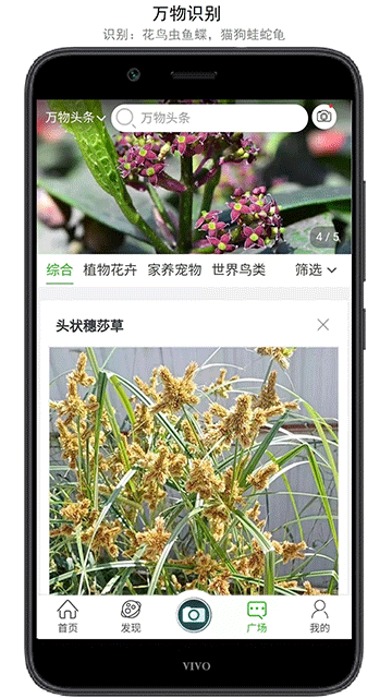 万物志截图3