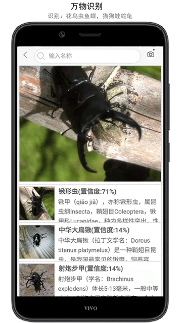 万物志截图5