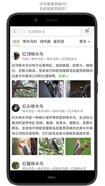 万物志截图4