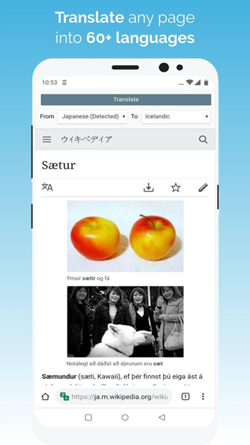 kiwi浏览器截图3