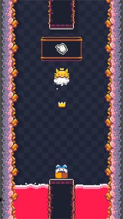 猫猫冲撞
