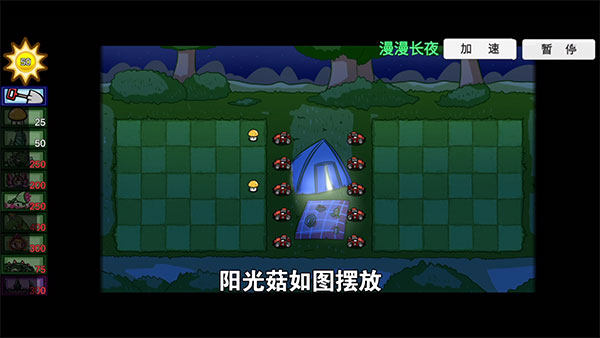 pvzbt最新版本