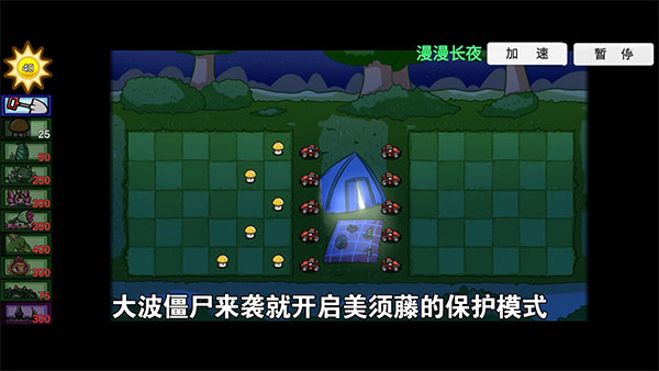 pvzbt最新版本