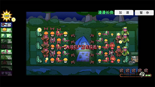 pvzbt最新版本