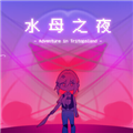 水母之夜