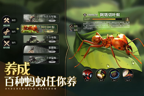 小小蚁国哔哩哔哩客户端截图1