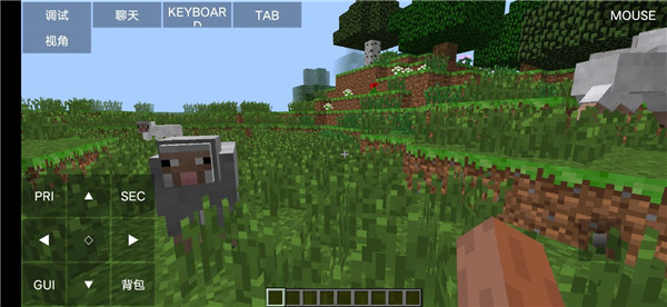 我的世界java中文版截图2