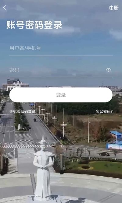 二丫网app