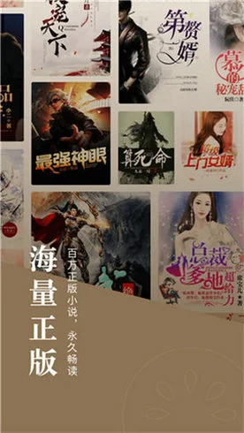 乐可小说手机版截图2