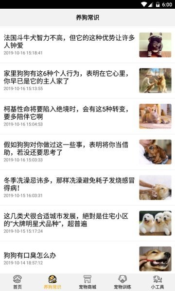 跑狗翻译app截图3