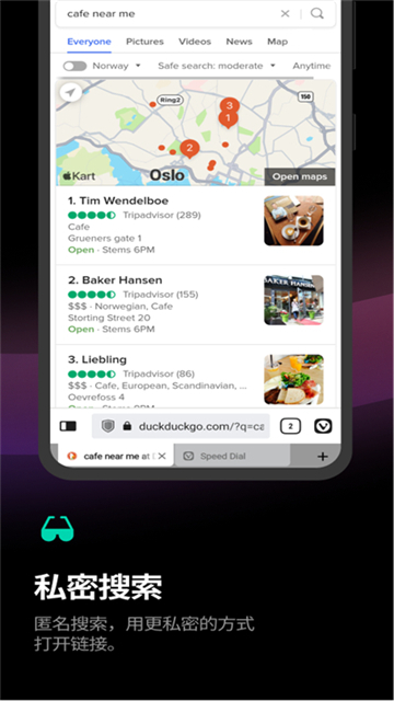 vivaldi中文官网版截图1