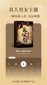 番茄小说免费听书截图3