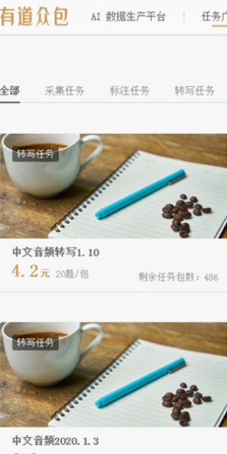 有道众包
