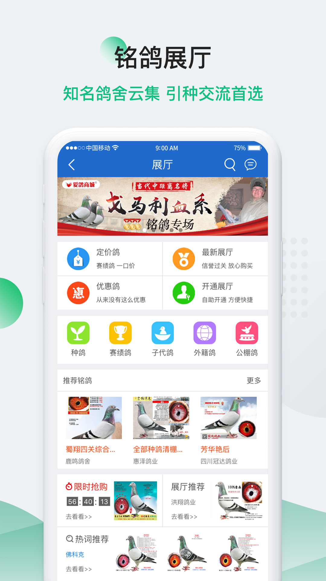 中国信鸽信息网手机版截图1