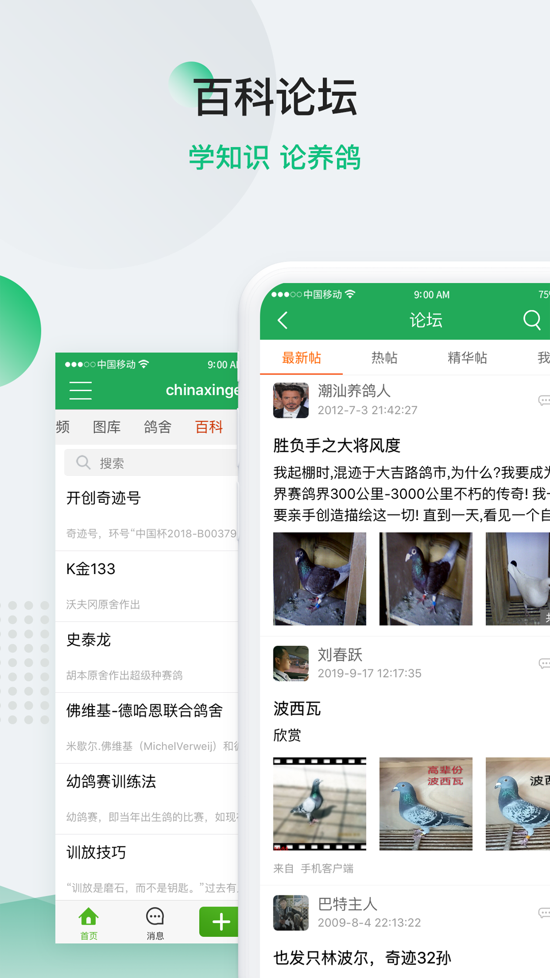 中国信鸽信息网手机版截图3