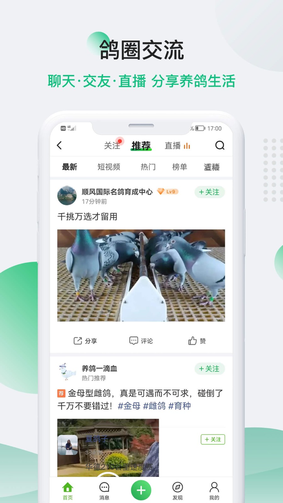 中国信鸽信息网手机版截图4